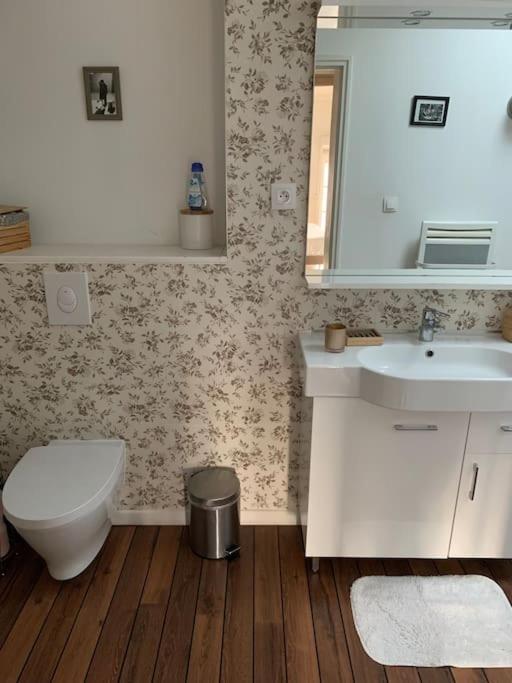 Appartement Duplexcoeur De Ville Metz Zewnętrze zdjęcie